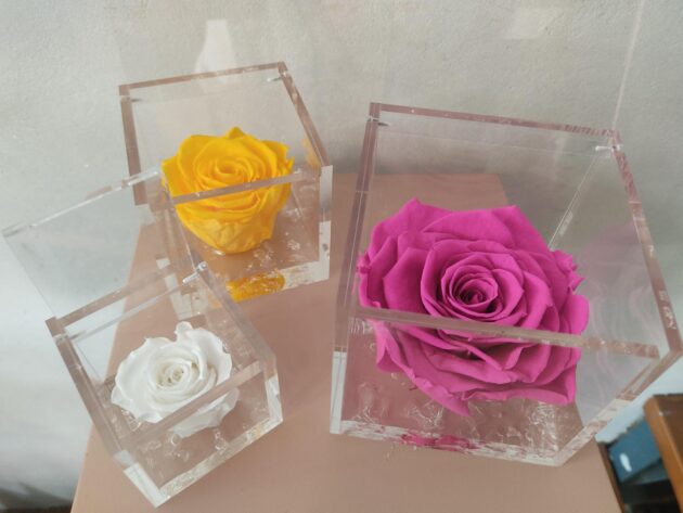 Rosa Preservada Grande