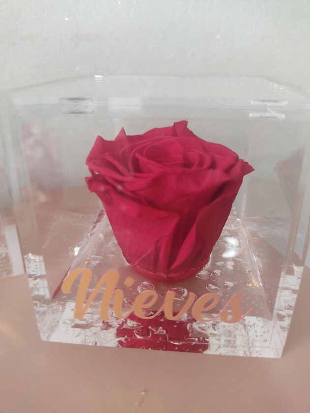 Rosa Preservada Grande - Imagen 3